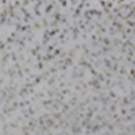 White ‎‎Granite